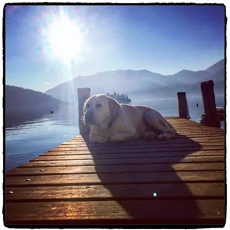 Frühstückspension La Casa Sul Lago Marone